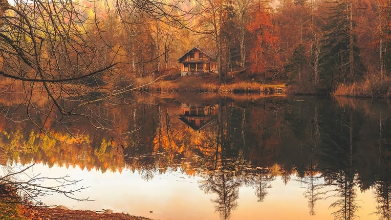 Lakeside Cabin