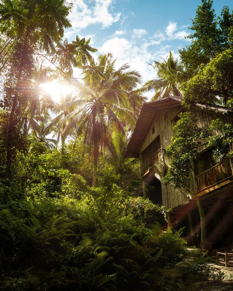 Treehouse Cabin